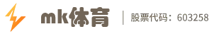 mk体育(MKsports集团)股份公司